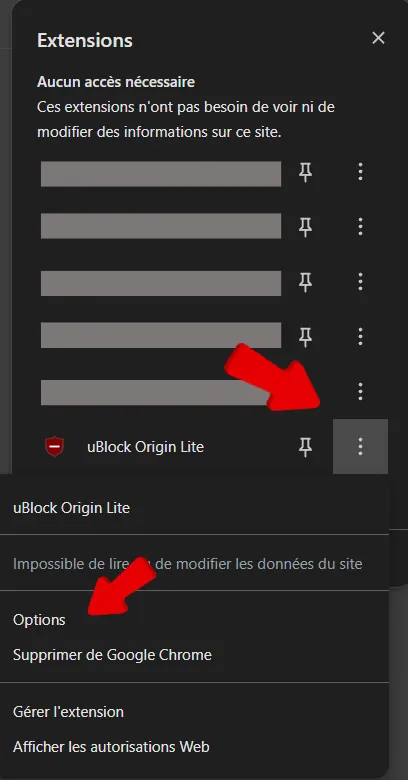 extensions afficher options